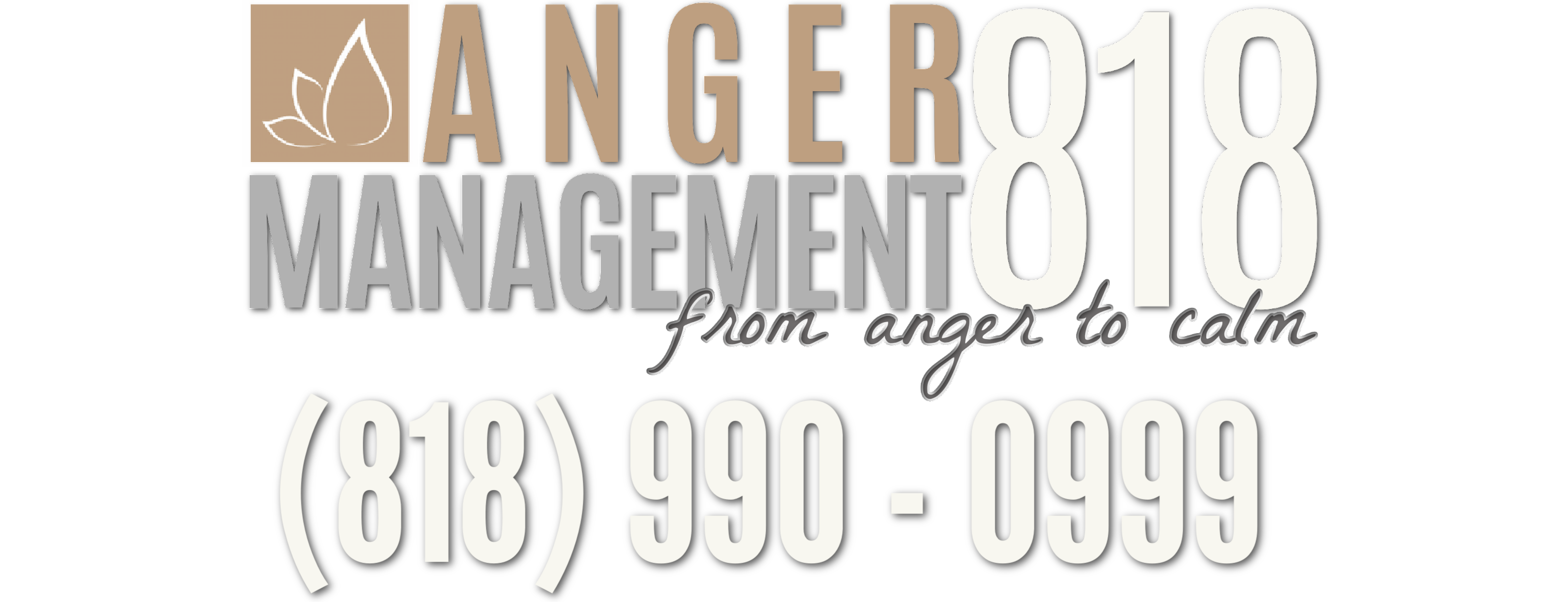 Anger Management (818) 990-0999 logo
